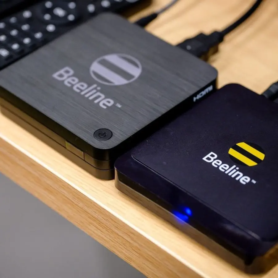 Күйеу бала енесінің мысығын қырады