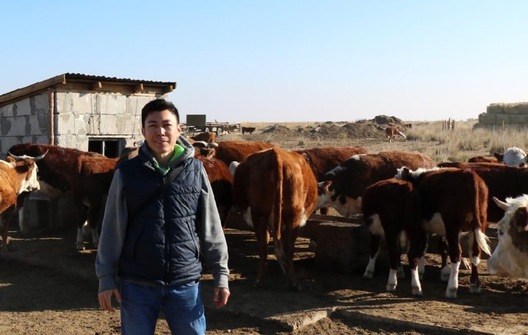 Аgritech-стартап Cowmas ищет инвестора, готового вложить 32 млн тенге за долю в проекте