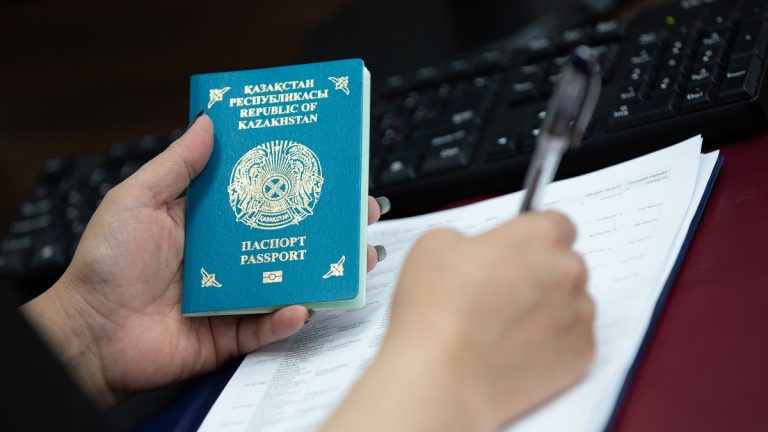 Минтруда и соцзащиты рассказало, представители каких ИТ-профессий могут получить ПМЖ в Казахстане