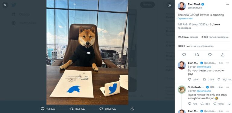 Илон Маск посадил собаку в директорское кресло Twitter