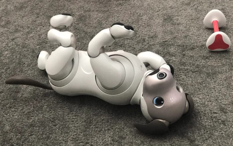 Sony будет ремонтировать устаревших робопсов и передавать их в больницы и дома престарелых