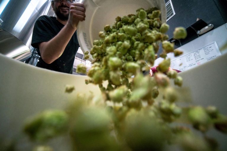 В США рестораны и продуктовые магазины используют ИИ для анализа мусора