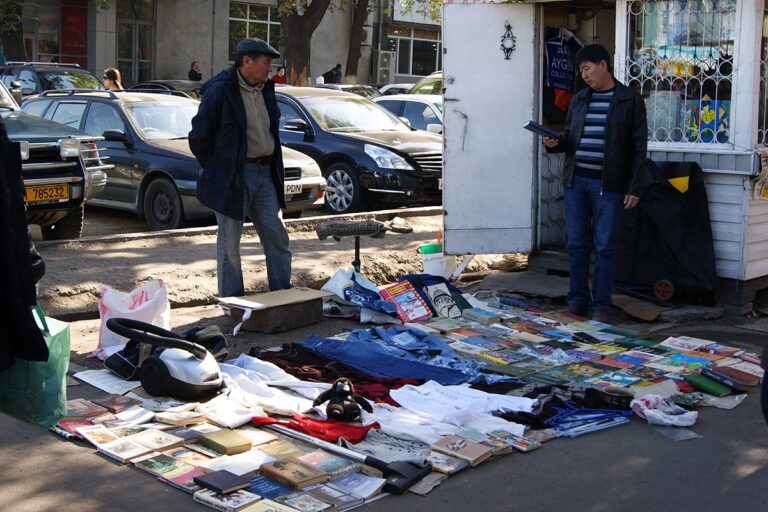 Зарплата большинства самозанятых в Казахстане не дотягивает до среднего уровня