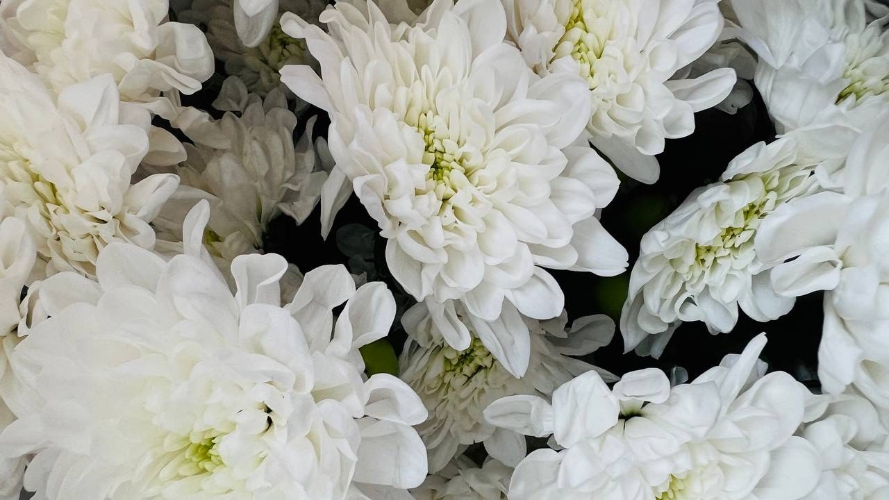 Как я решила заработать на цветах в Астане — и что из этого вышло — изображение 3