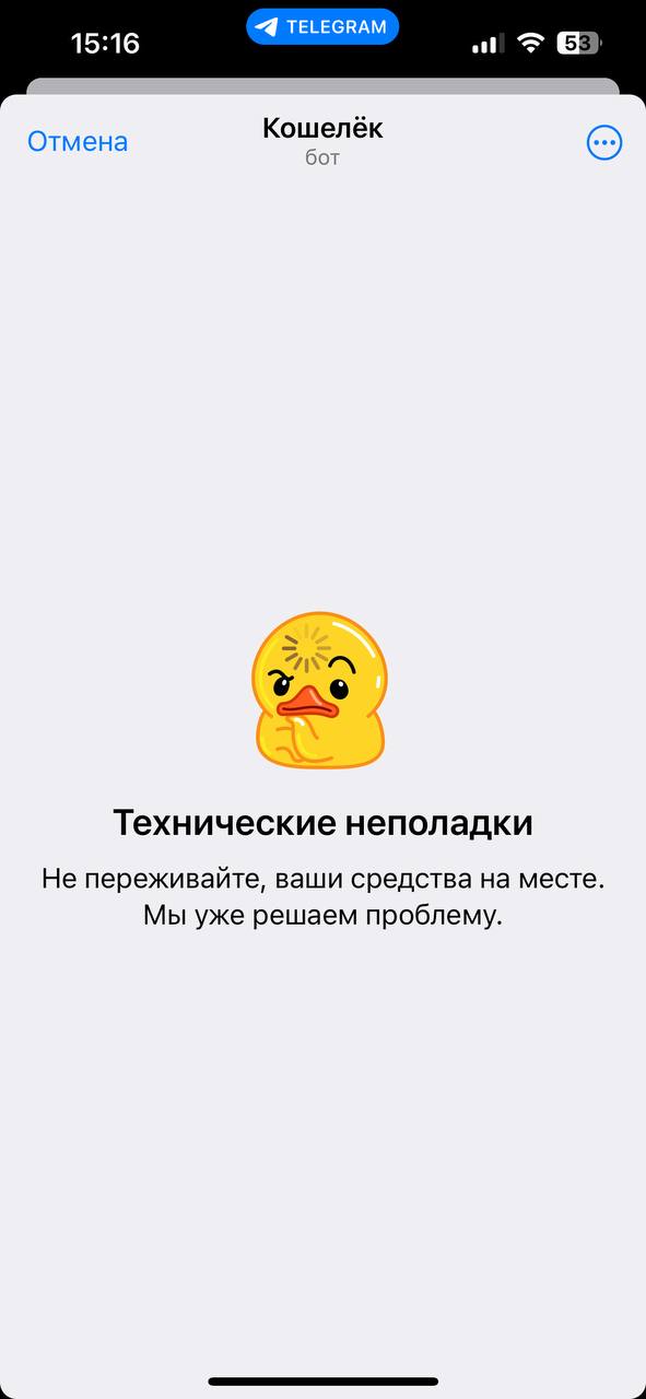 Кошелек в Telegram сломался после старта торгов Hamster Kombat — изображение 1