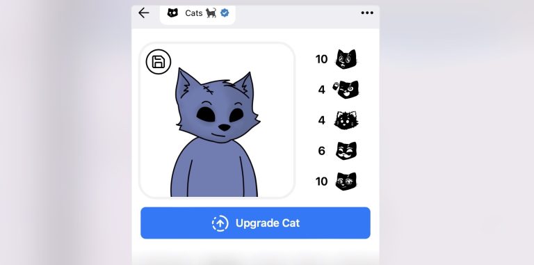 Cats отдал деньги тем, кто забыл отправить монеты на биржи