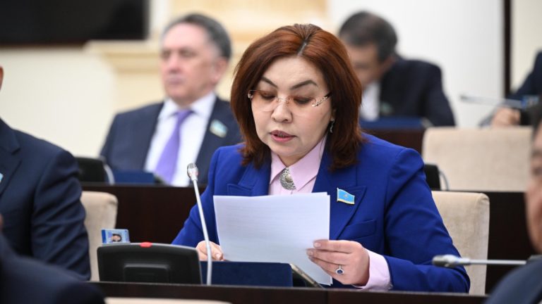 Казахстан могут закрыть для неквалифицированных кадров. Сенаторы предложили решение