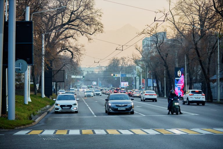 Как проверить страховку на машину в Казахстане онлайн: пошаговая инструкция