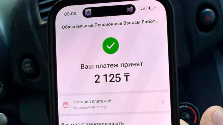 Новым ИП в Казахстане перестали возвращаться платежи — систему наладили