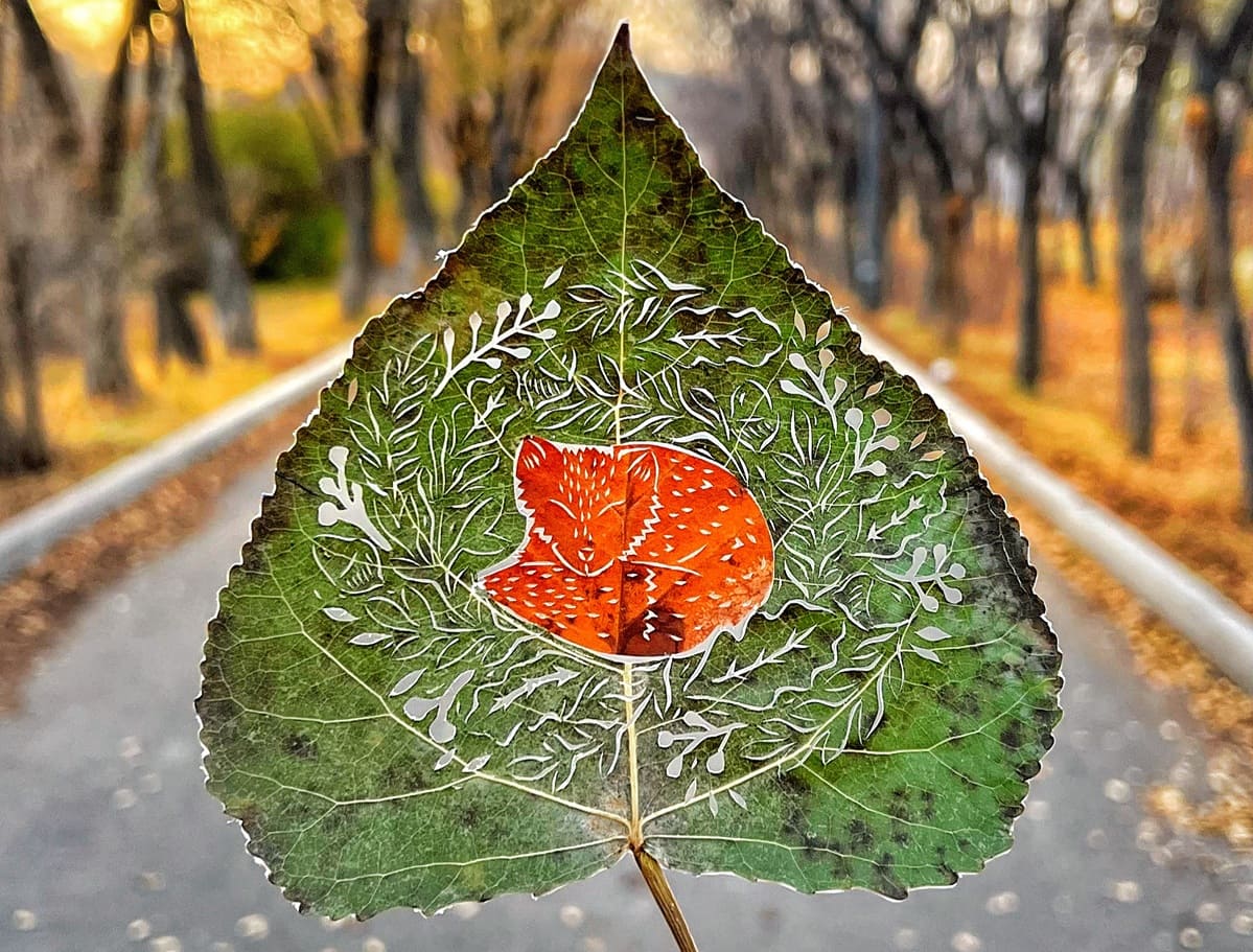 Работа Каната Нуртазина 