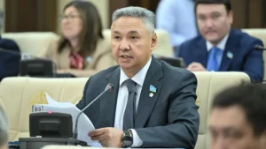 Перуашев: споры по Налоговому кодексу дошли до президента