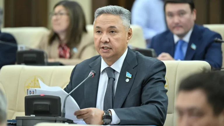 Перуашев: споры по Налоговому кодексу дошли до президента