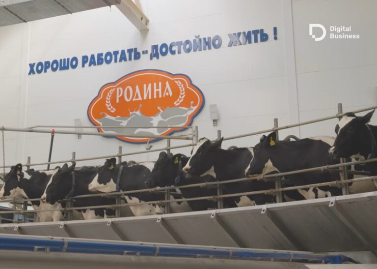 За дойку коров теперь отвечают роботы