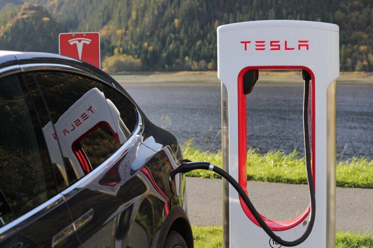 Казахстанцы теперь могут официально арендовать Tesla во время поездки в США
