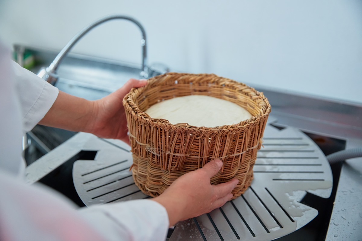 She's Next Visa Мадина Оскенбаева