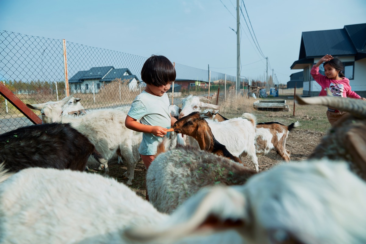 She's Next Visa Мадина Оскенбаева