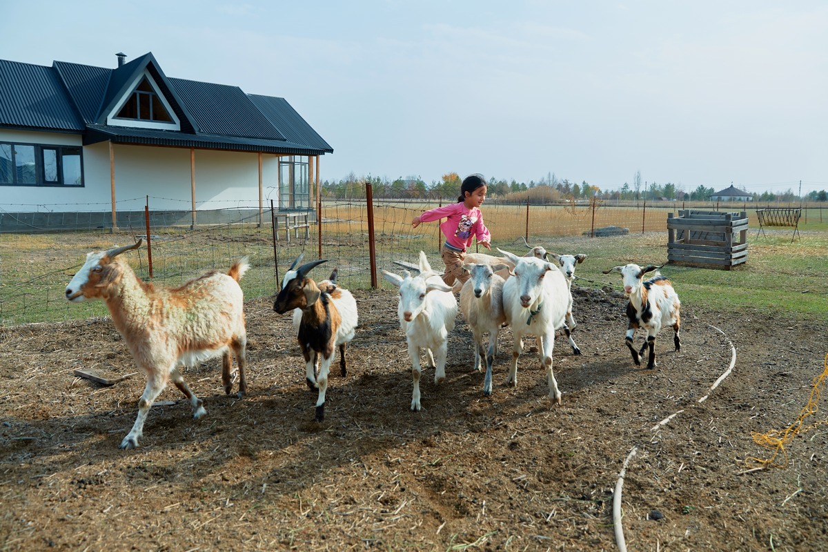 She's Next Visa Мадина Оскенбаева