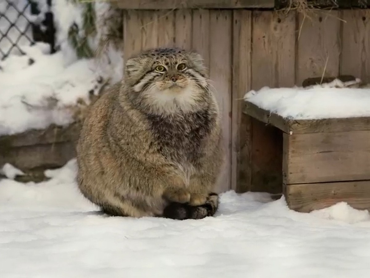 Узнали, когда в Алматы начнет портиться погода