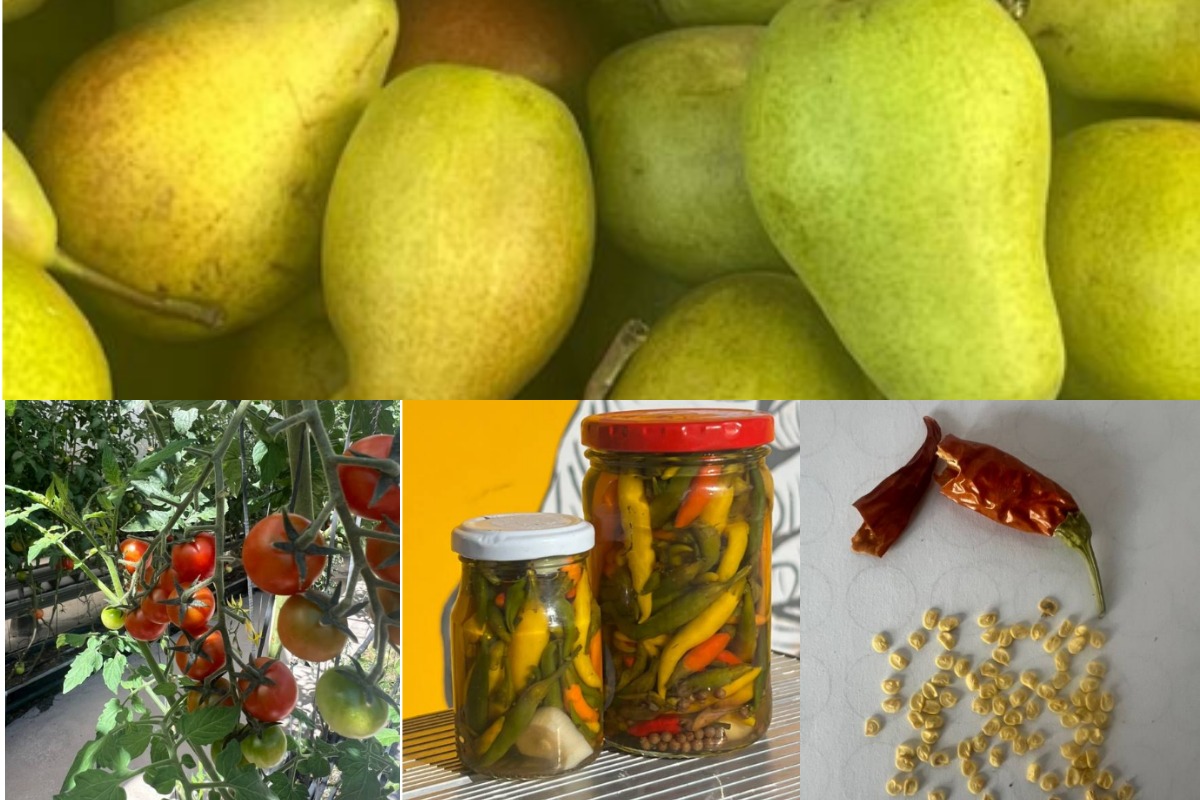 Жанна Дюсенова