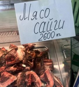 Казахстанцев смутили цены на мясо сайги. Вот реальные отзывы