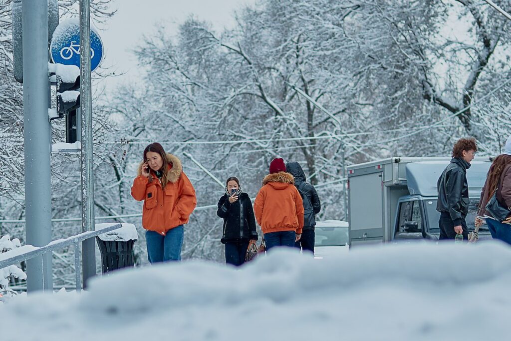 люди с телефоном зима