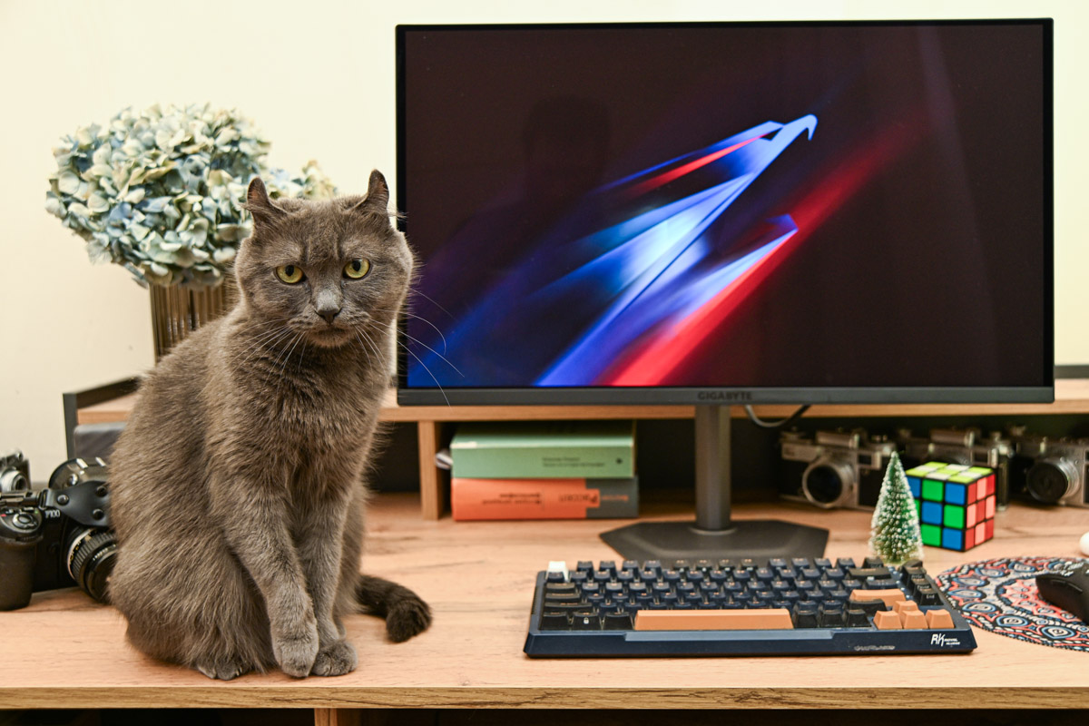 «Здесь и ночное видение есть?!». Обзор нового игрового монитора MO27Q3 от Gigabyte