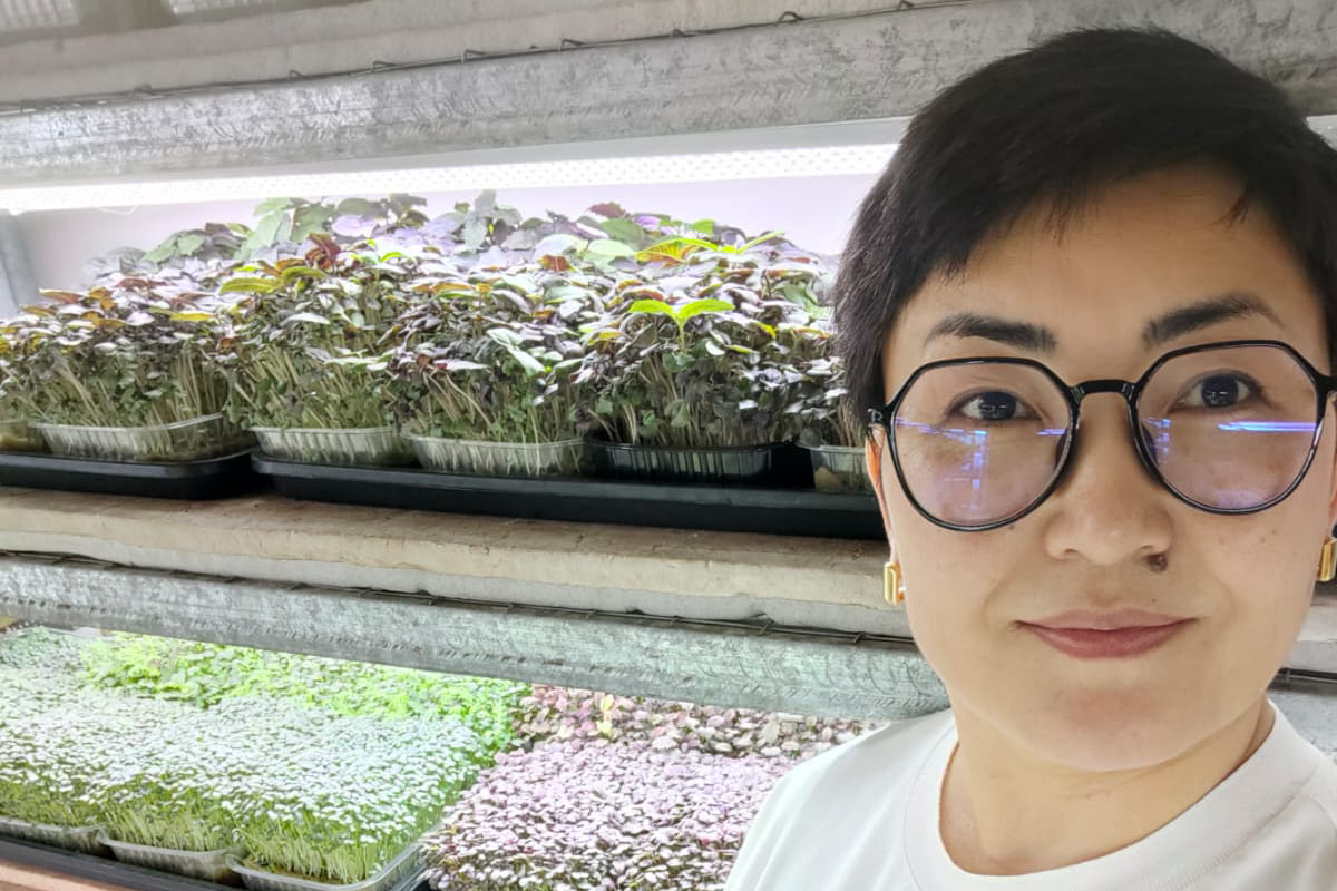 микрозелень