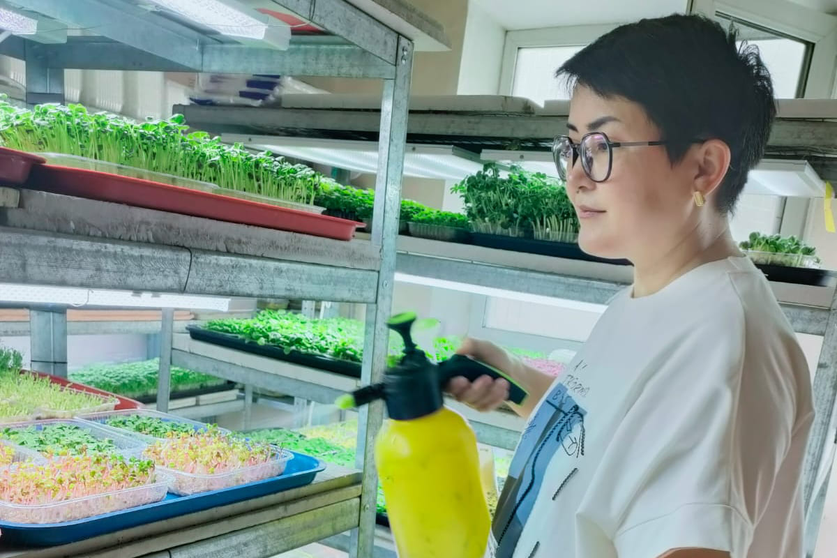 микрозелень