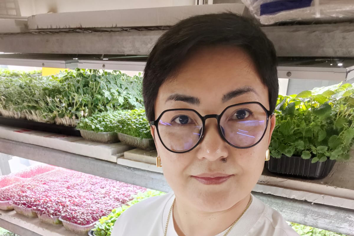 Казахстанка построила прибыльный бизнес на микрозелени 