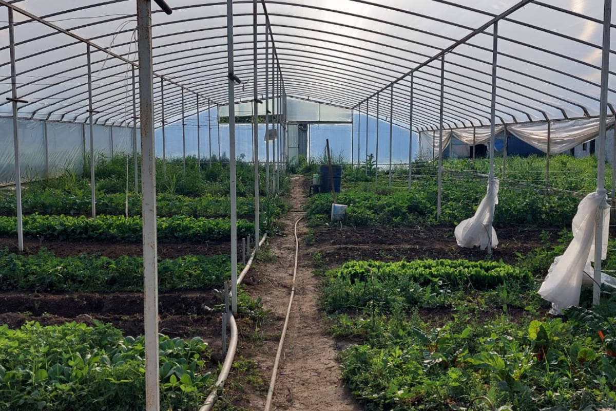 Карлыгаш Ермукан