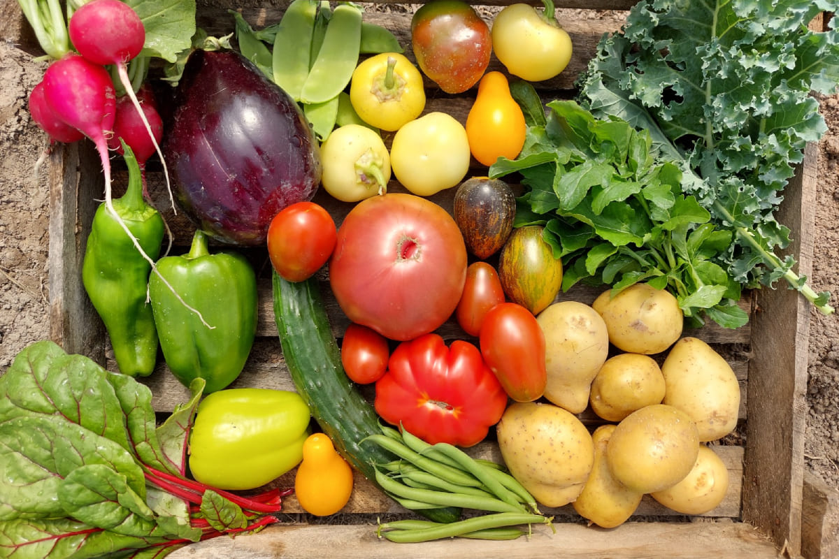 Карлыгаш Ермукан