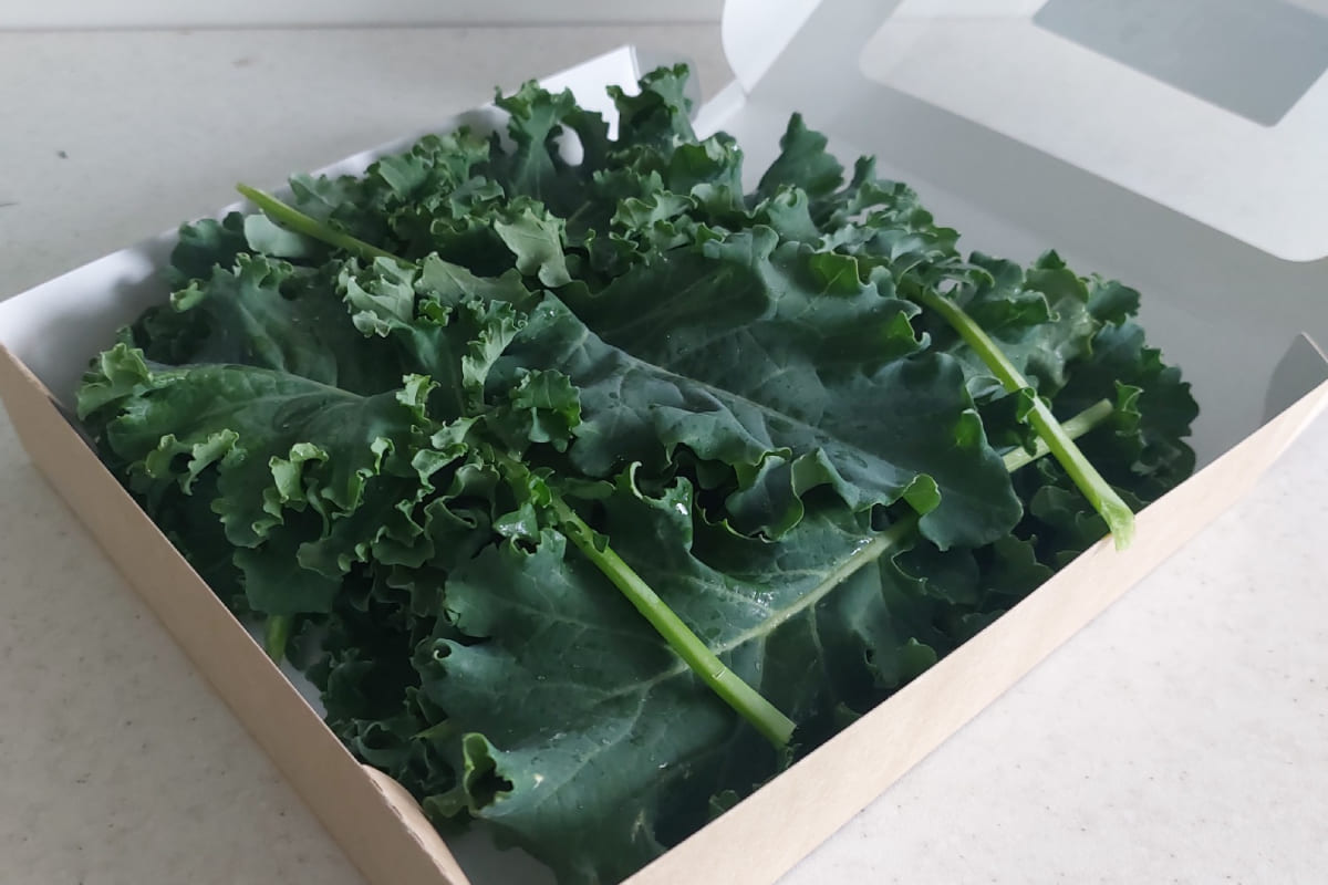 Карлыгаш Ермукан