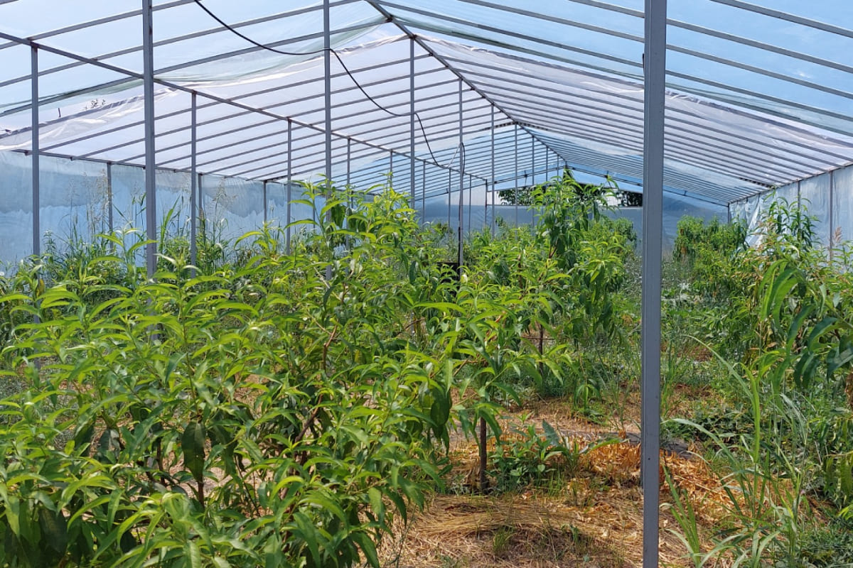 Карлыгаш Ермукан