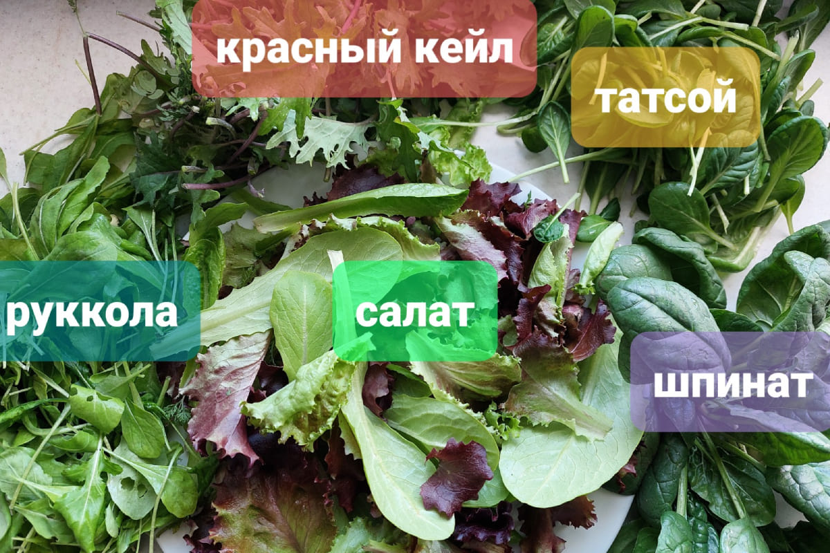 Карлыгаш Ермукан