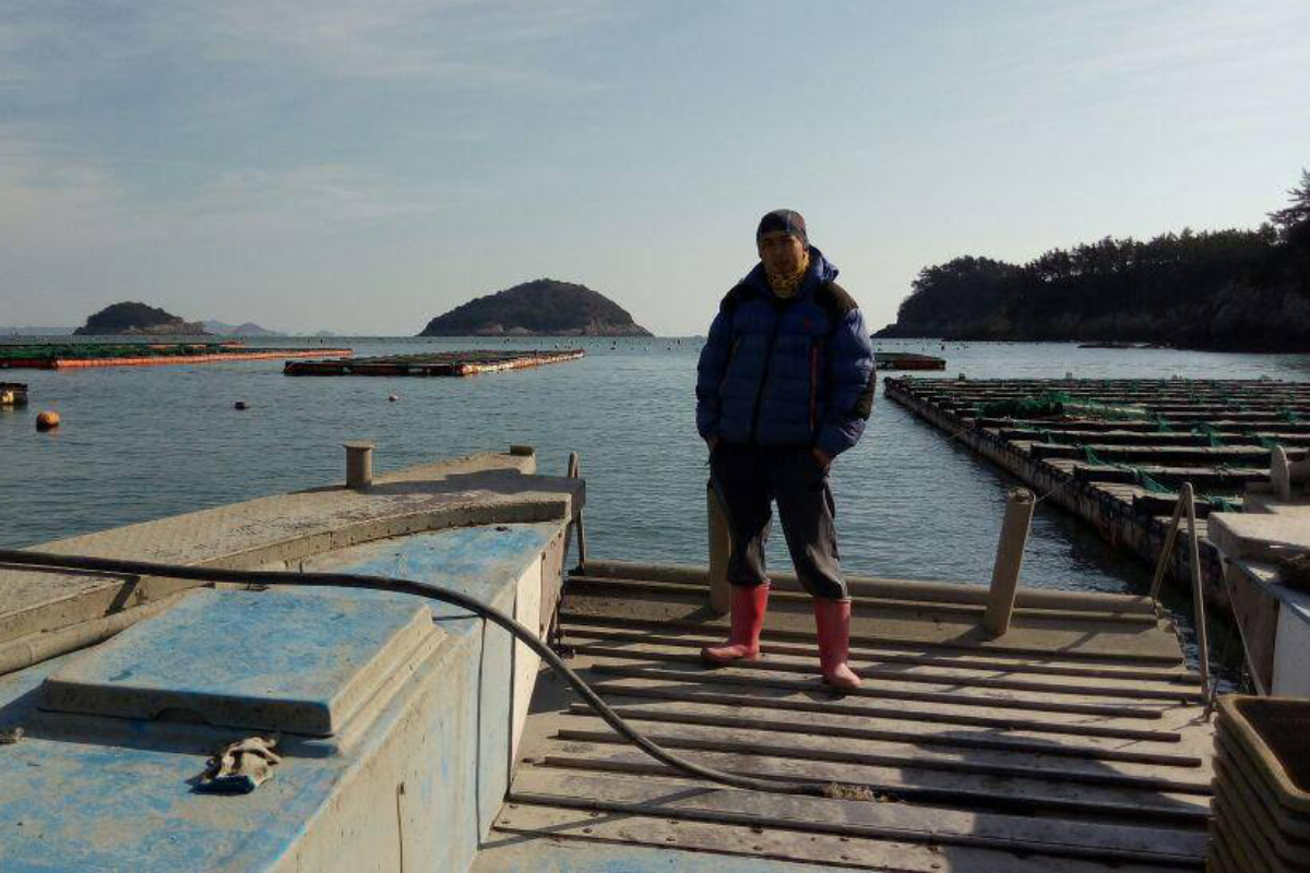 Данияр яблоки