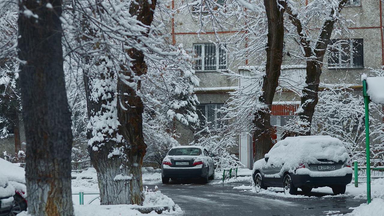 В Казахстане изменят механику получения VIP-номеров на машины