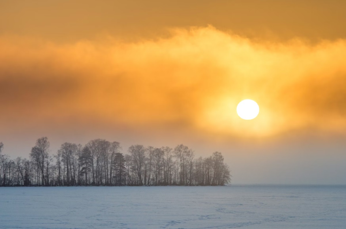 Праздники 28 января 2026 года: что отмечают в Казахстане и мире