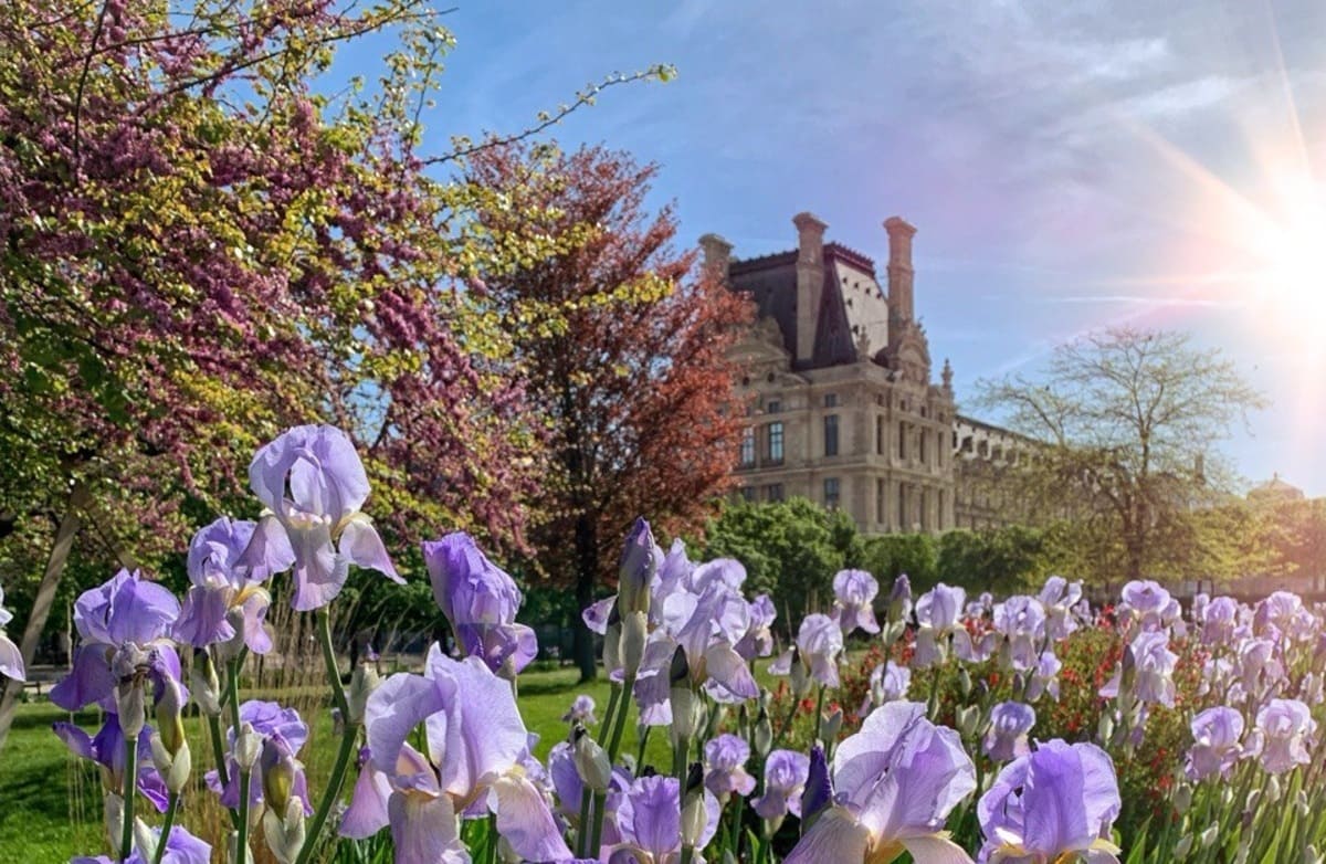 Жанара Саясат