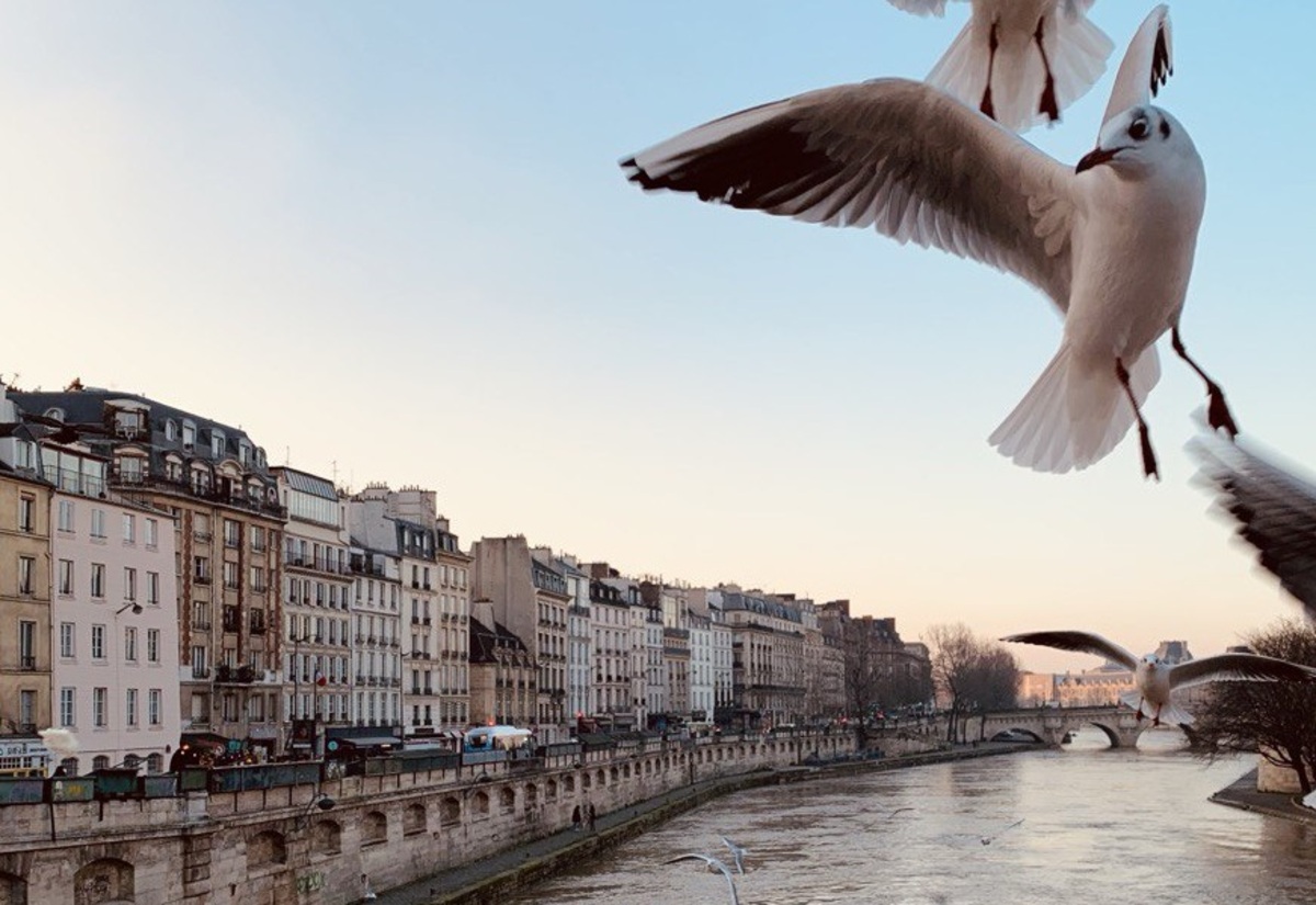 Жанара Саясат