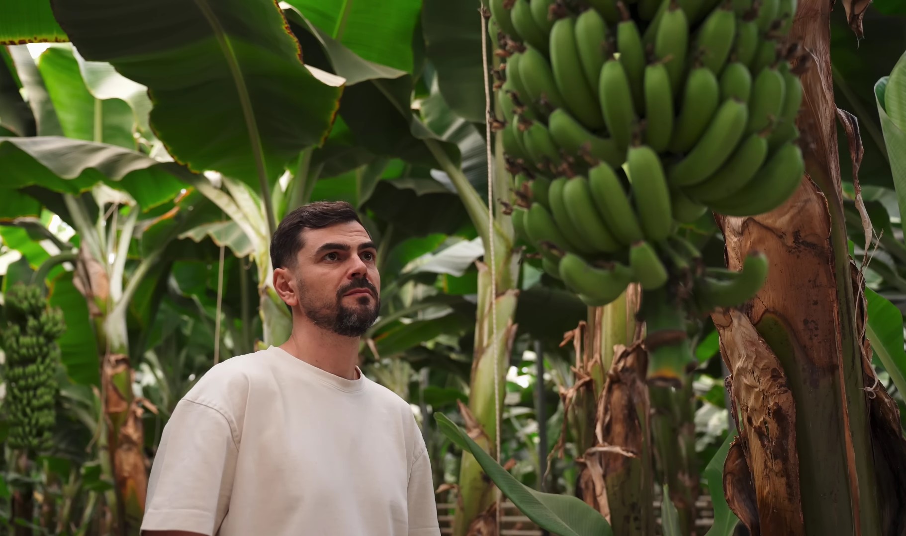 Казахстанец вложил 4 миллиона долларов и рискнул выращивать бананы