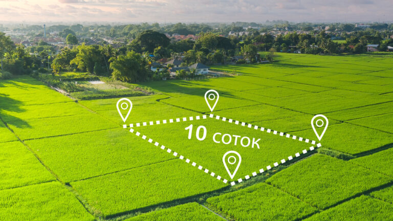 10 бесплатных соток: эксперимент Digital Business длиною в жизнь