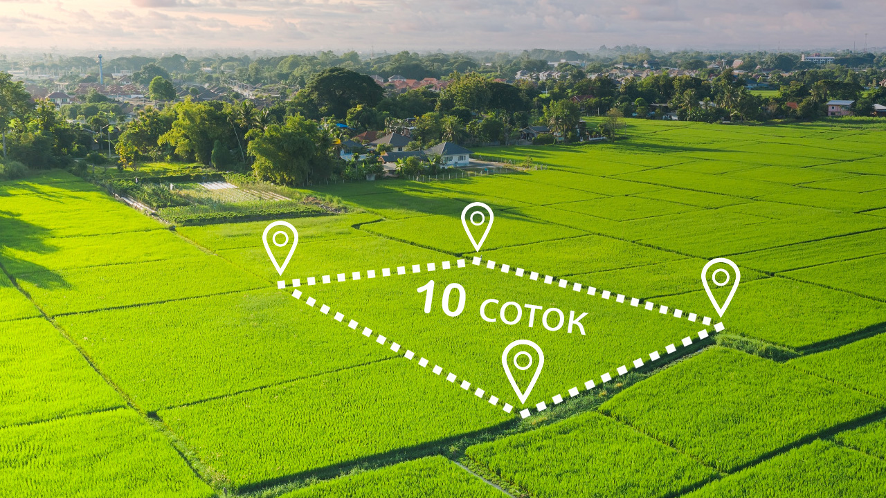 10 бесплатных соток: эксперимент Digital Business длиною в жизнь