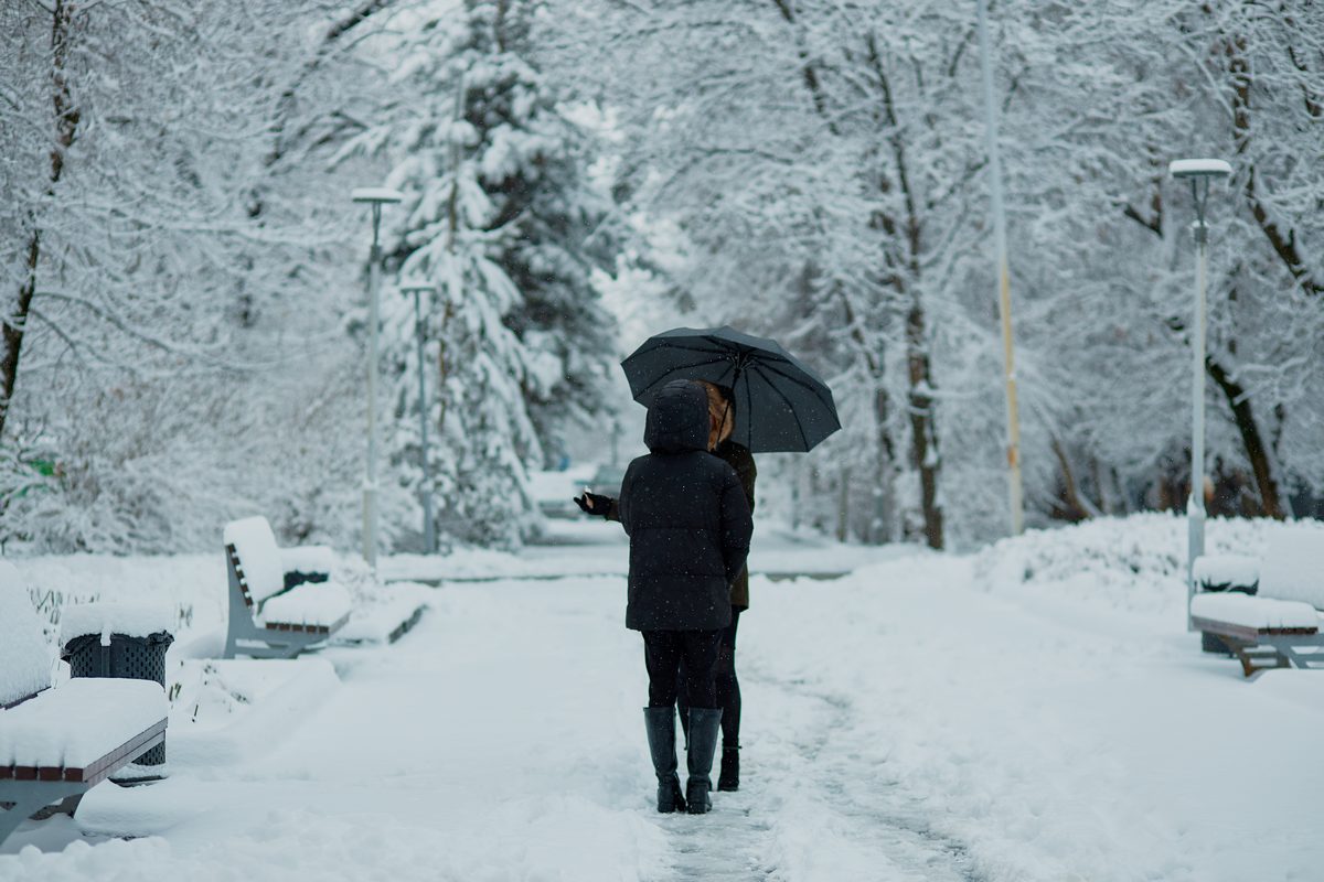 Праздники 11 февраля 2026 года: что отмечают в Казахстане и мире