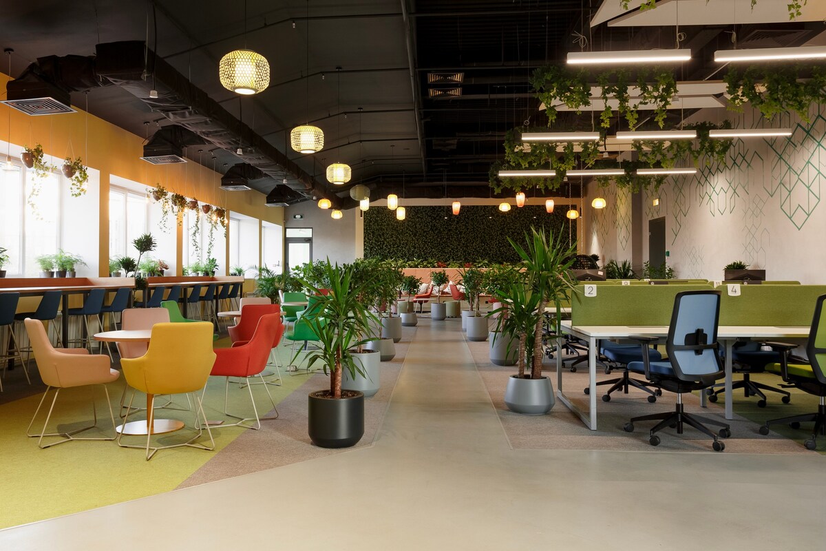 SmArt.Point Акбота Алагузова