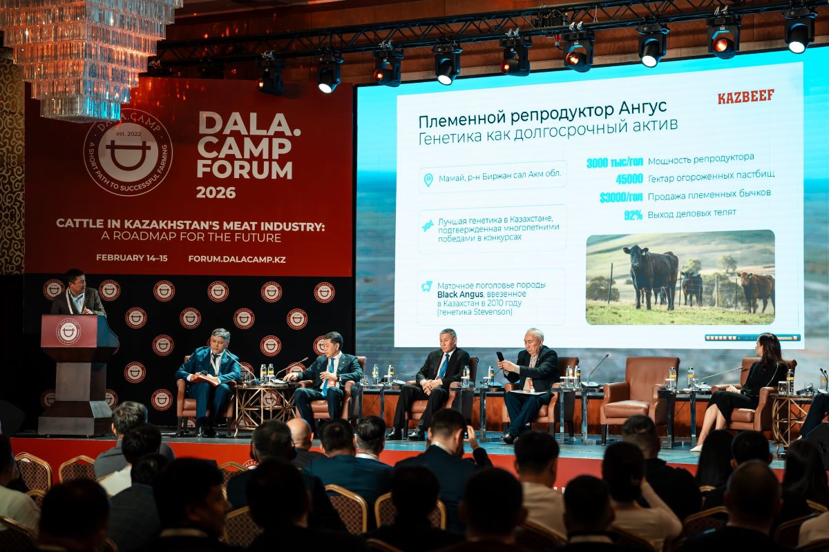 Азамат Орумбаев Kusto Agro