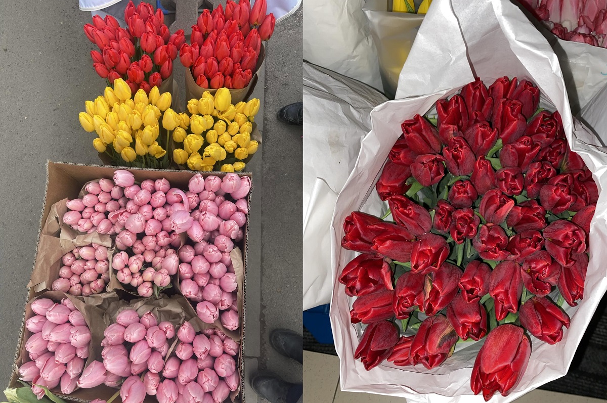 Казахстанцы показали, сколько получилось заработать на тюльпанах 8 марта