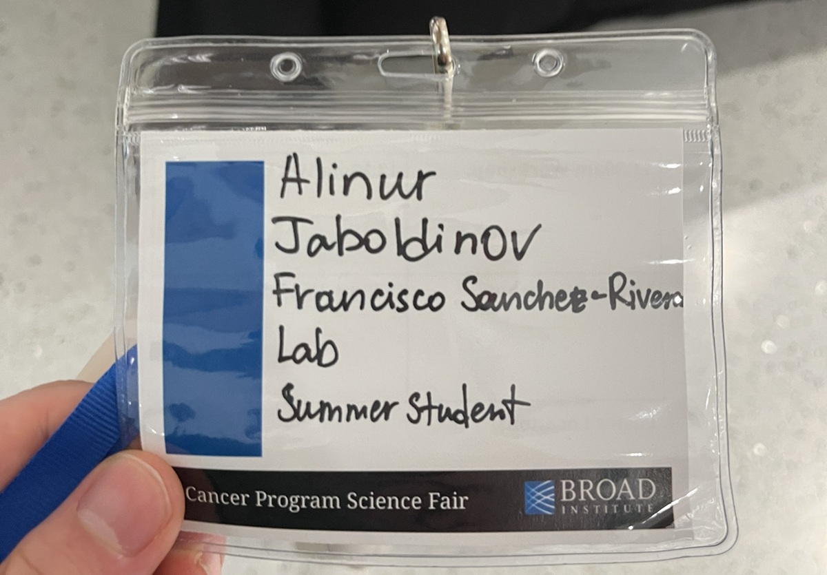 Алинур Джаболдинов 