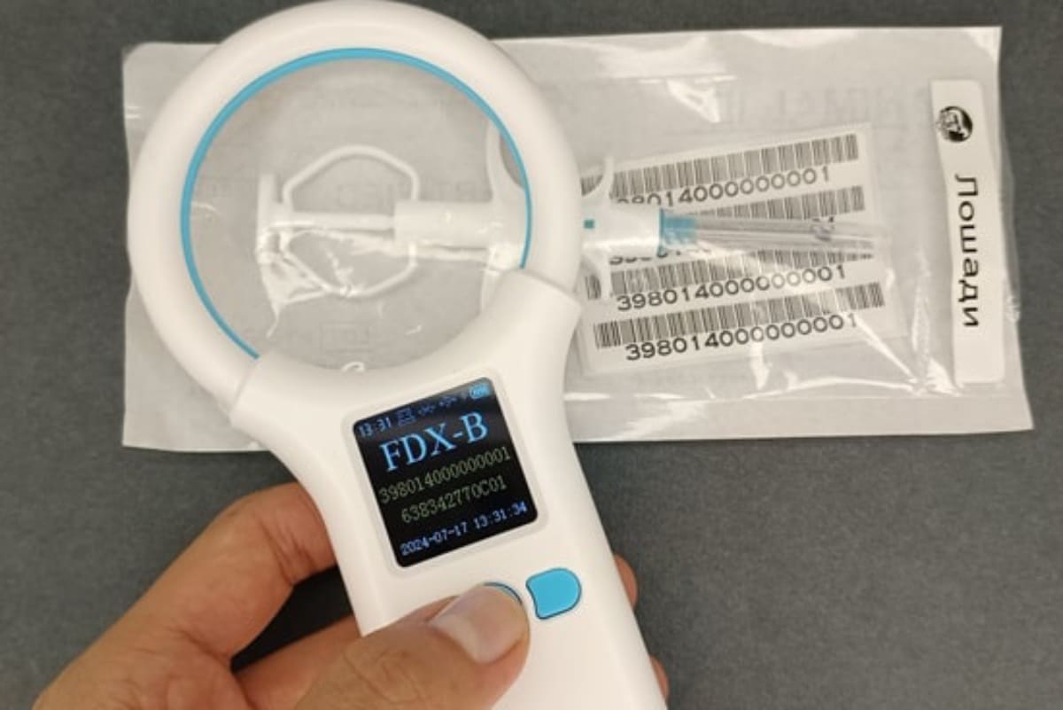 Каршыга Малик