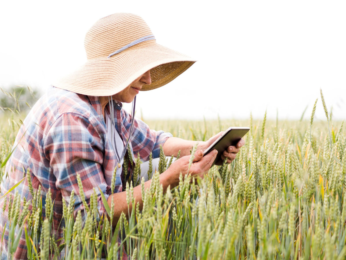 Агросектор