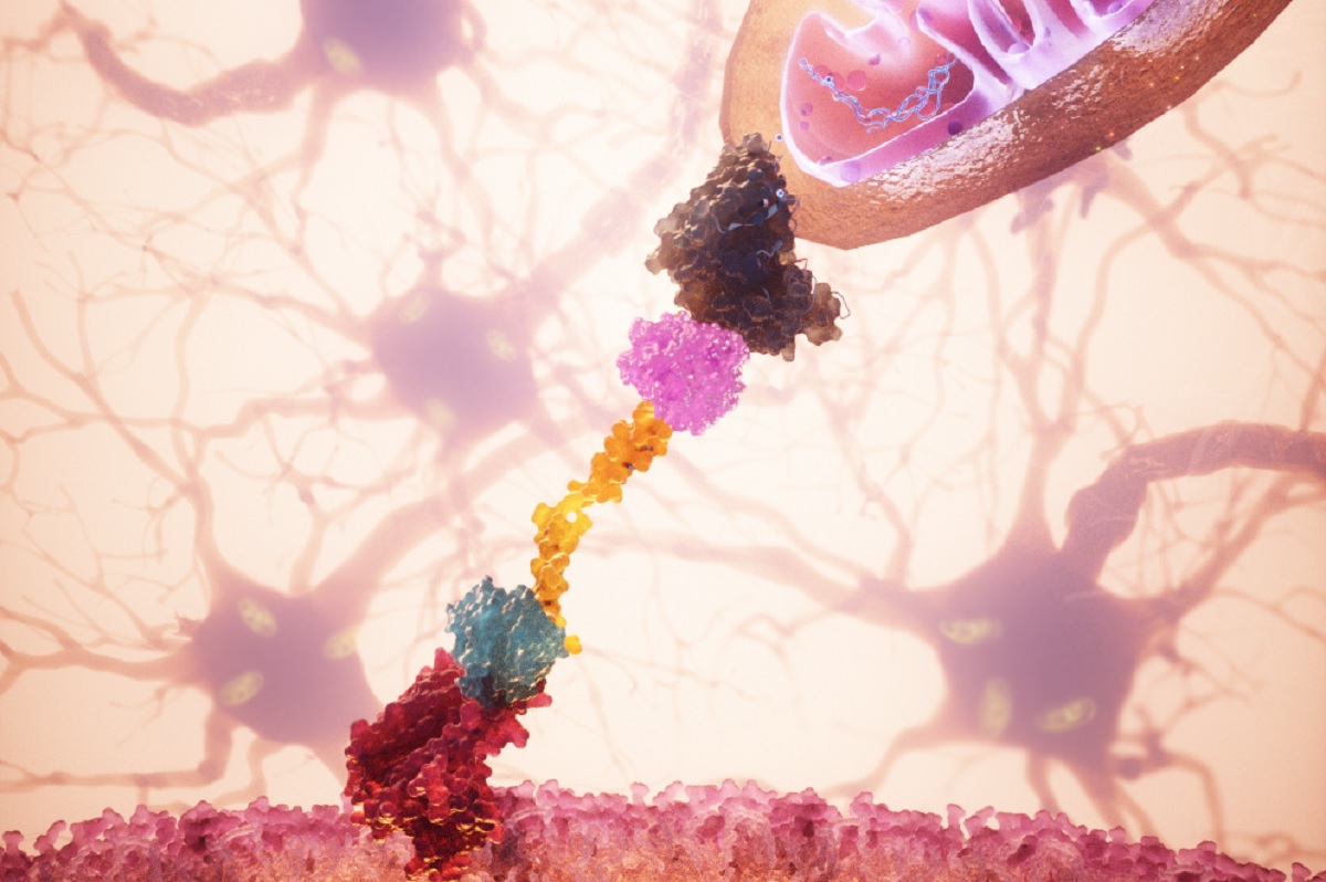 Темурхан Аюпов